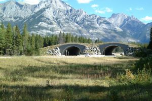 Banff