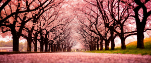 Primavera no Canadá