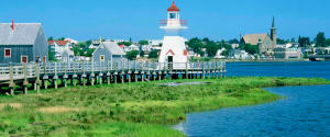 Processo de imigração de New Brunswick